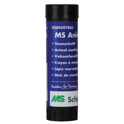 Obrazek MS Marker Niebieski, 60 ml