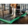Obrazek Pakiet 1x 300 cm, MS AutoHoofClean (AHC) 1x 200 kg