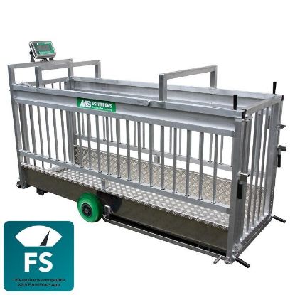 Obrazek Waga MS EasyScale + bluetooth, 700 kg